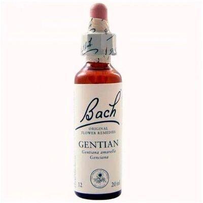 Flores de Bach Gentian - Essência floral - 20ml Flores de Bach Gentian - Essência floral - 20ml