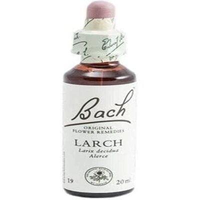 Bach Lärche 20 ml - Blütenessenz für Selbstvertrauen Bach Lärche 20 ml - Blütenessenz für Selbstvertrauen