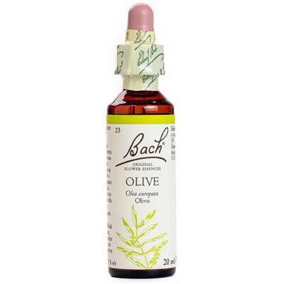Flores de Bach (23) Oliva - elixir floral Flores de Bach (23) Oliva - elixir floral
