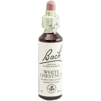 Elixir Floral de Castaña Blanca de Bach - Flownet Elixir Floral de Castaña Blanca de Bach - Flownet