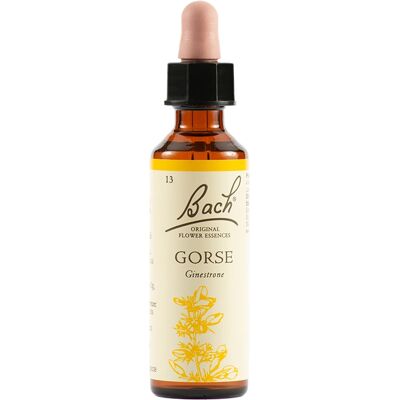 Gocce Orali Bach Gorse Schwabe - Rimedi Omopatici Gocce Orali Bach Gorse Schwabe - Rimedi Omopatici