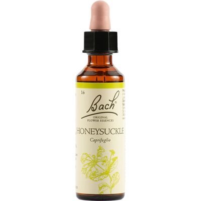 Schwabe Pharma Italia Honeysuckle Bach 20ml - Rimedi omeopatici Schwabe Pharma Italia Honeysuckle Bach 20ml - Rimedi omeopatici