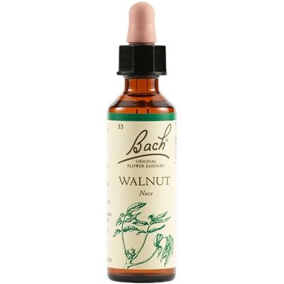Schwabe Fiori di Bach 33 Walnut Gocce 20ml - Rimedi omeopatici Schwabe Fiori di Bach 33 Walnut Gocce 20ml - Rimedi omeopatici