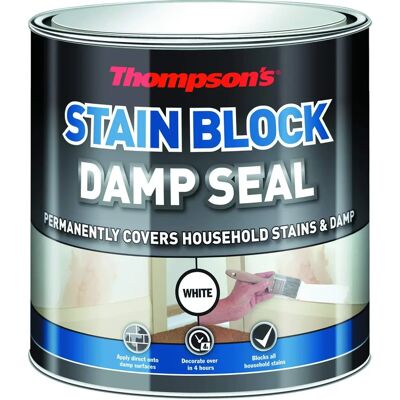 Ronseal Thompson's Damp Seal 2.5L - Damp Seal Paint Ronseal Thompson's Damp Seal 2.5L - Damp Seal Paint