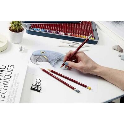Derwent Pastel Pencils - Set of 12 - Pastel Pencils Derwent Pastel Pencils - Set of 12 - Pastel Pencils