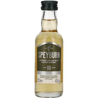 Speyburn 10 Jaar Oud - Single Malt Scotch Whisky Speyburn 10 Jaar Oud - Single Malt Scotch Whisky