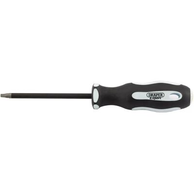 Draper 35159 Destornillador de seguridad con recesión cuadrada S3 x 100mm Draper 35159 Destornillador de seguridad con recesión cuadrada S3 x 100mm