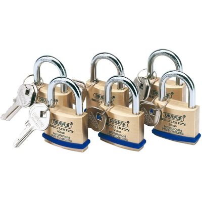 Draper Tools Draper 67659 Padlock - Solid Brass, Steel Shackle, 40mm, Pack of 6 Draper Tools Draper 67659 Padlock - Solid Brass, Steel Shackle, 40mm, Pack of 6