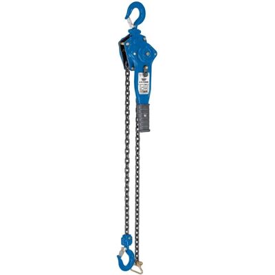 Polipasto de cadena manual Draper Expert 82475 - Herramienta de taller Polipasto de cadena manual Draper Expert 82475 - Herramienta de taller