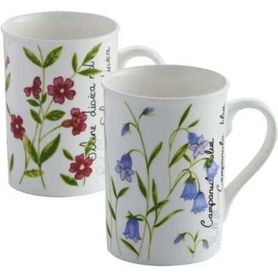 Price & Kensington Assorted Botanical Mug - Mug Price & Kensington Assorted Botanical Mug - Mug