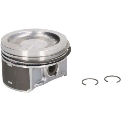 NURAL 87-502800-00 Piston - Cylinder bore 76.5mm NURAL 87-502800-00 Piston - Cylinder bore 76.5mm