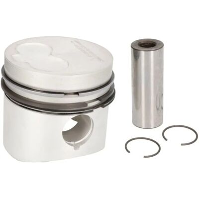 NURAL 87-109500-00 Piston - With segment support - 76.5mm NURAL 87-109500-00 Piston - With segment support - 76.5mm