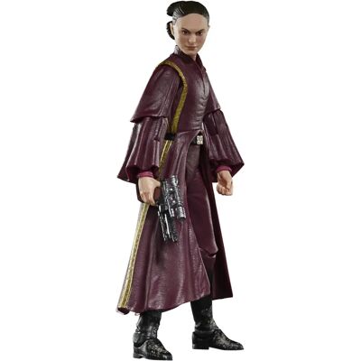 Hasbro G00255X2 - Padmé Amidala - Figurine d'Action Hasbro G00255X2 - Padmé Amidala - Figurine d'Action
