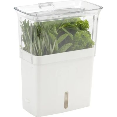 Cole & Mason Tealby Herbes - Contenant à Herbes pour Réfrigérateur Cole & Mason Tealby Herbes - Contenant à Herbes pour Réfrigérateur