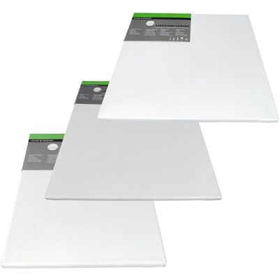 Daler Rowney Simply Canvas 20x50cm Triplo Primer - Tela Daler Rowney Simply Canvas 20x50cm Triplo Primer - Tela