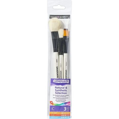 Daler-Rowney Daler Rowney Graduate Natur- und Synthetische Pinselgeldbörse 3er Pack Daler-Rowney Daler Rowney Graduate Natur- und Synthetische Pinselgeldbörse 3er Pack