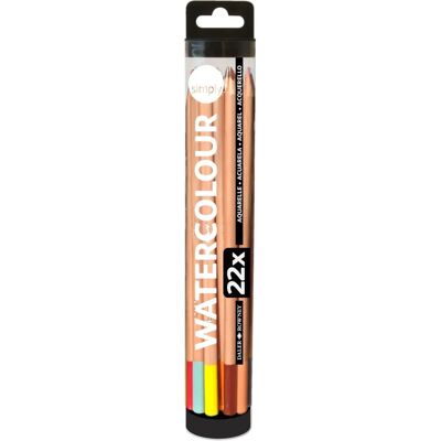 Set de 22 lápices acuarelables Daler Rowney para principiantes Set de 22 lápices acuarelables Daler Rowney para principiantes