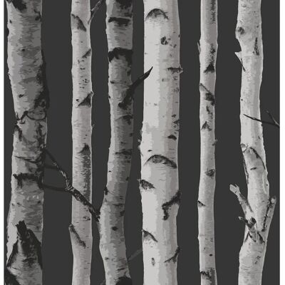 Fine Decor Charcoal Grey Birch Trees Forest Themed Feature Wallpaper - Wallpaper Fine Decor Charcoal Grey Birch Trees Forest Themed Feature Wallpaper - Wallpaper