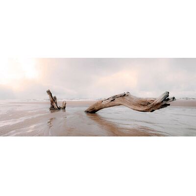 ART FOR THE HOME Treibholz Strand Landschaft Leinwand - Wandbild ART FOR THE HOME Treibholz Strand Landschaft Leinwand - Wandbild