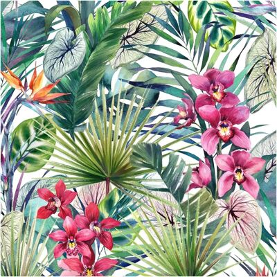 Superfresco Easy Multi Aloha Tropical Wallpaper - Wallpaper Superfresco Easy Multi Aloha Tropical Wallpaper - Wallpaper