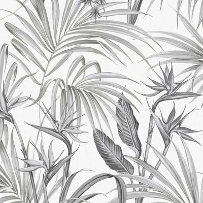 Superfresco Easy Strelitzia Blätter Tapete - Wandbeklebung Superfresco Easy Strelitzia Blätter Tapete - Wandbeklebung