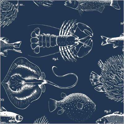 Contour Into The Deep Navy Sealife Wallpaper - Wallpaper Contour Into The Deep Navy Sealife Wallpaper - Wallpaper