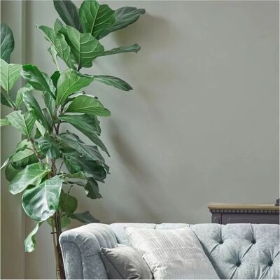 Laura Ashley Sage Leaf Matt Emulsion Paint - Paint Laura Ashley Sage Leaf Matt Emulsion Paint - Paint