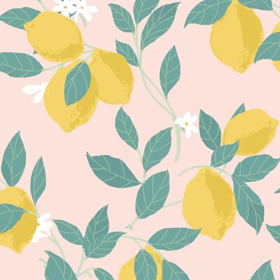 Envy Feeling Fruity Lemon Pink Wallpaper - Wallpaper Envy Feeling Fruity Lemon Pink Wallpaper - Wallpaper