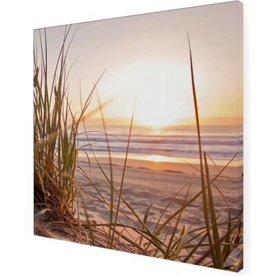 ART FOR THE HOME - Outdoor Sonnenuntergang 50x50cm - 50x50 cm - bunt - Leinwandbild ART FOR THE HOME - Outdoor Sonnenuntergang 50x50cm - 50x50 cm - bunt - Leinwandbild
