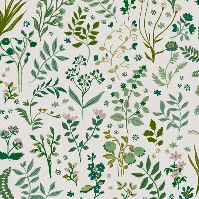 Joules Beigefarbene Blumen Tapete - Tapeten Joules Beigefarbene Blumen Tapete - Tapeten