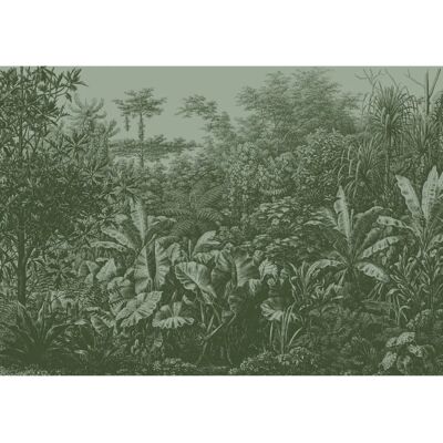 Wolfgang Joop Regenwald Tapete - Naturgrün, 350x270cm Wolfgang Joop Regenwald Tapete - Naturgrün, 350x270cm