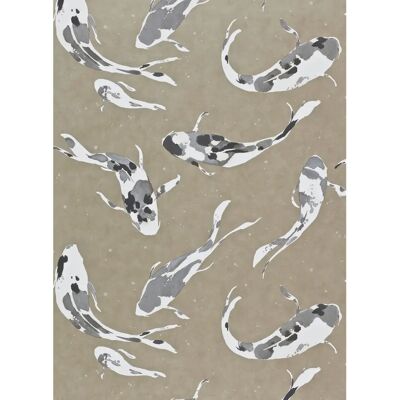 Harlequin Koi Tapete - Wasser-Design Harlequin Koi Tapete - Wasser-Design