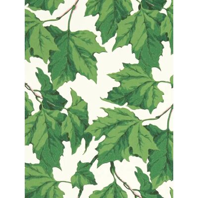 Harlequin Sophie Robinson Dappled Leaf Tapete - Tapete Harlequin Sophie Robinson Dappled Leaf Tapete - Tapete