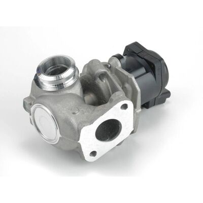 Lemark Legr010 14974 Fdr174 121-01-019 EGR Valve - EGR Valve Lemark Legr010 14974 Fdr174 121-01-019 EGR Valve - EGR Valve