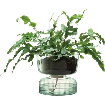 Vaso auto-irrigante in vetro riciclato Canopy - 13cm - LSA International Vaso auto-irrigante in vetro riciclato Canopy - 13cm - LSA International
