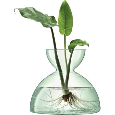 Jarrón Canopy de LSA International 18cm Transparente Jarrón Canopy de LSA International 18cm Transparente