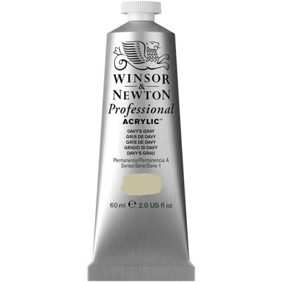 Winsor & Newton Professional Acrylic Davy's Grey - Acrylic Paint Winsor & Newton Professional Acrylic Davy's Grey - Acrylic Paint