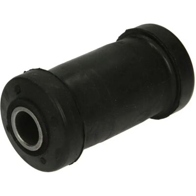 Delphi TD519W Steuerarm Silentblock - Steuerarm Delphi TD519W Steuerarm Silentblock - Steuerarm