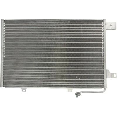 Delphi TSP0225563 Condensatore A/C - Mercedes-Benz Classe A B Delphi TSP0225563 Condensatore A/C - Mercedes-Benz Classe A B