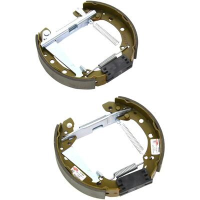 Delphi Bremsbacken Satz 200mm - Rad- und Radzylinder, vormontiert Delphi Bremsbacken Satz 200mm - Rad- und Radzylinder, vormontiert