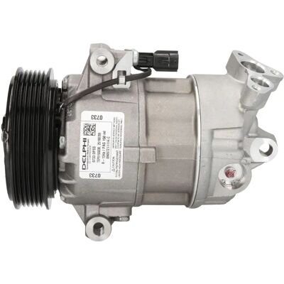 Delphi TSP0155830 - Klimakompressor til Renault Delphi TSP0155830 - Klimakompressor til Renault