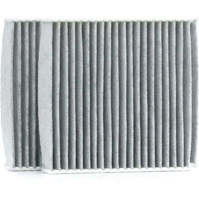 Delphi - Kabine Luftfilter - Aktivkulfilter, Passer til Peugeot, Citroën, DS Delphi - Kabine Luftfilter - Aktivkulfilter, Passer til Peugeot, Citroën, DS