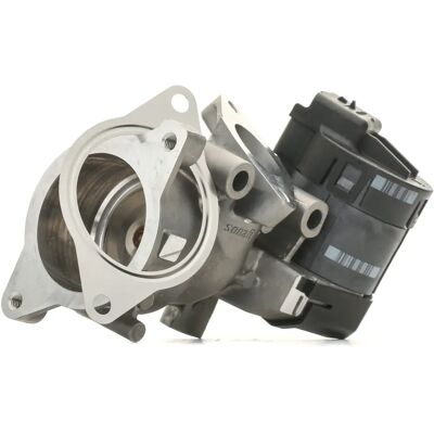 Delphi EG10396-12B1 EGR-Ventil für Fiat, Peugeot, Citroën, Volvo, Ford, Lancia - Elektrisch Delphi EG10396-12B1 EGR-Ventil für Fiat, Peugeot, Citroën, Volvo, Ford, Lancia - Elektrisch