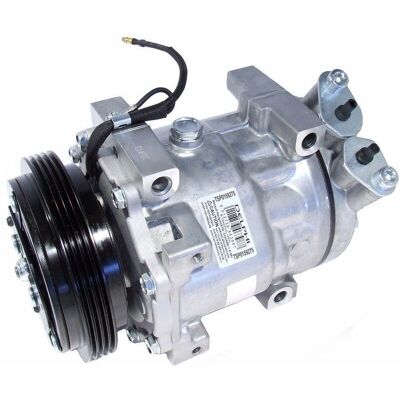 Compressore Aria Condizionata Delphi Sanden SD7V16 - Renault Clio 2 Compressore Aria Condizionata Delphi Sanden SD7V16 - Renault Clio 2