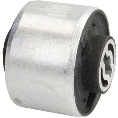 Delphi TD857W Steuerarm Silentblock - Steuerarm Delphi TD857W Steuerarm Silentblock - Steuerarm