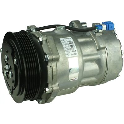 Compressore Aria Condizionata Delphi Sanden SD7V16 - Compatibile veicolo Compressore Aria Condizionata Delphi Sanden SD7V16 - Compatibile veicolo