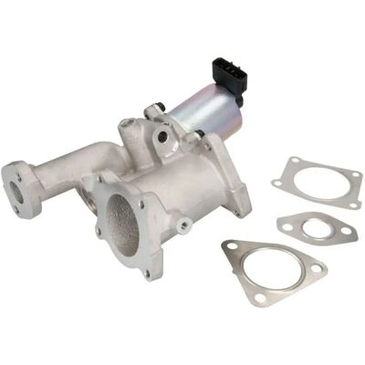 Delphi EG10460-12B1 EGR-Ventil - Opel Astra Delphi EG10460-12B1 EGR-Ventil - Opel Astra