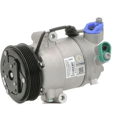 Compressore Aria Condizionata Delphi - Compressore Climatizzazione Auto Compressore Aria Condizionata Delphi - Compressore Climatizzazione Auto