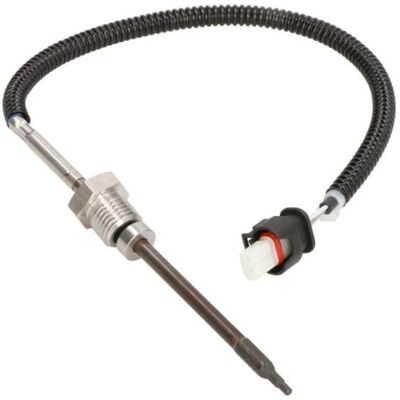 Sensore di temperatura dei gas di scarico DELPHI TS30249 - Sensore Sensore di temperatura dei gas di scarico DELPHI TS30249 - Sensore