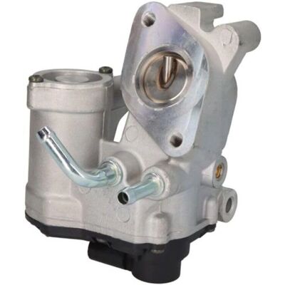 Delphi EG10540-12B1 EGR-Ventil - EGR Ventil Delphi EG10540-12B1 EGR-Ventil - EGR Ventil